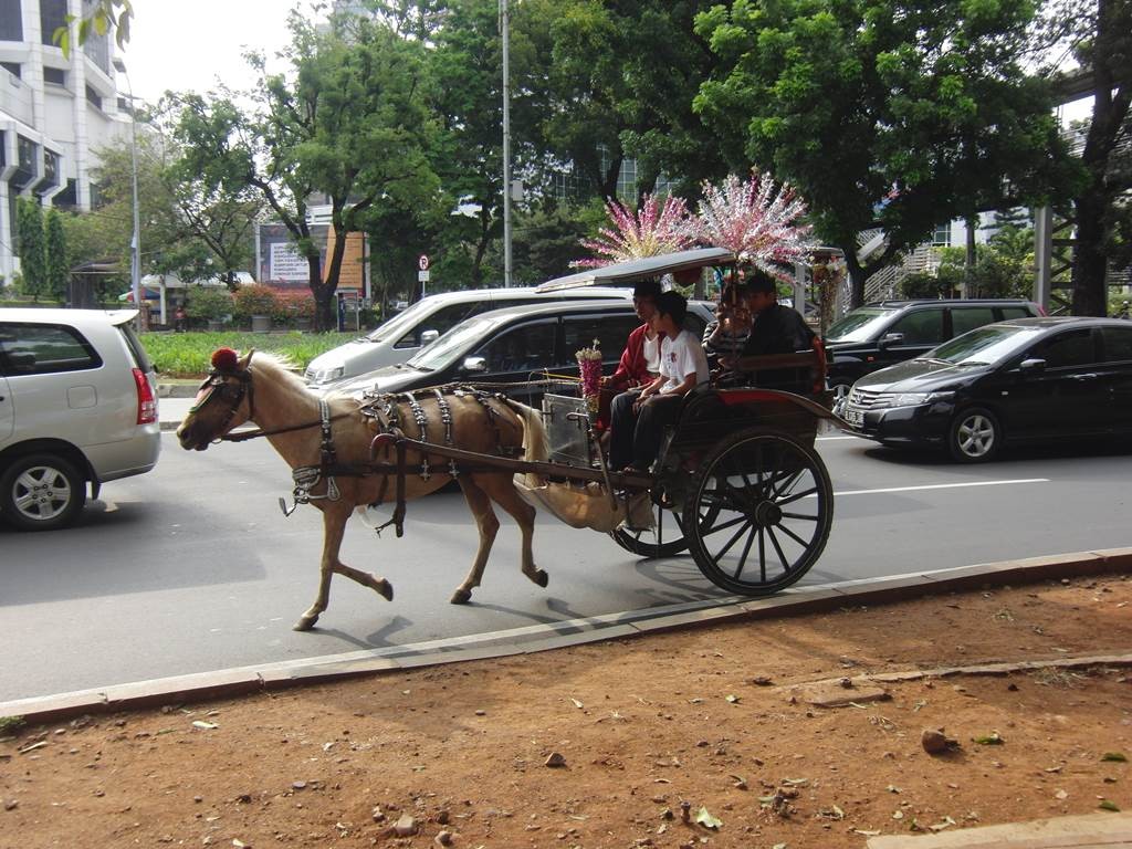 ジャカルタ市内を走っていた馬車